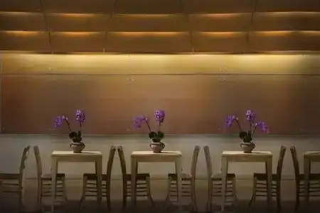 Boutique Ilio - 5