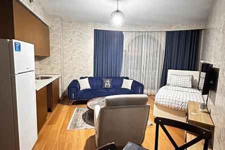 Sabi̇ha Gokcen İstanbul House - 21