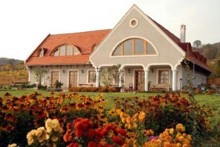 Koczor Winery & Guesthouse - 0