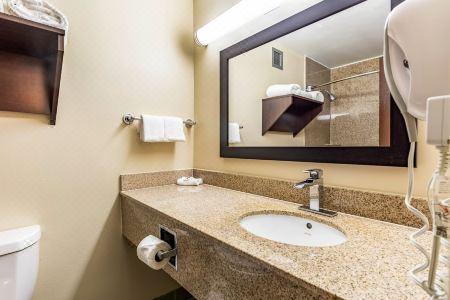 Red Roof Plus+ & Suites Houston - IAH Airport SW - 15