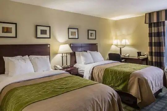 Comfort Inn Southwest Fwy at Westpark - 8