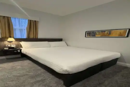 Four Points Flex by Sheraton London Kensington Olympia - 53
