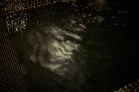 Palma Riad - Adults Only - 184