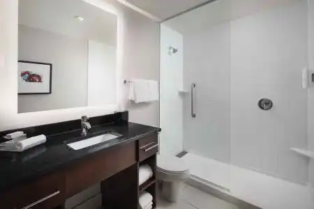 Homewood Suites by Hilton Denver Downtown-Convention Center - 39