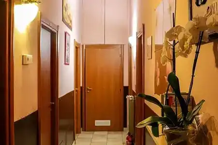 Român Holidays Hostel - 4