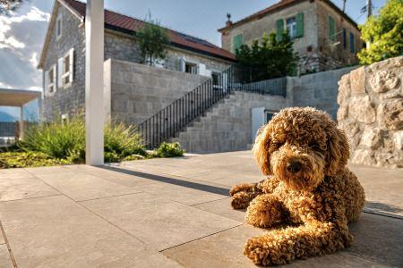 Villa Lastva is a Five Star Seafront Luxury Villa with Privite Pool - 37