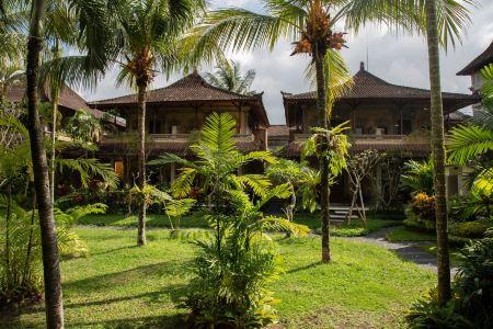 Outpost Ubud Nyuh Kuning Live - 9