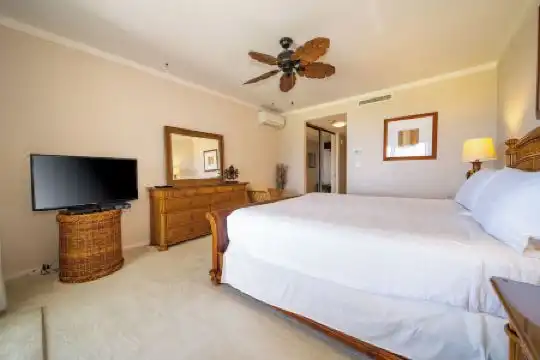 Kapalua Villas Maui - 349