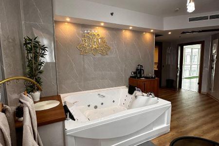 Sabi̇ha Gokcen İstanbul House - 33