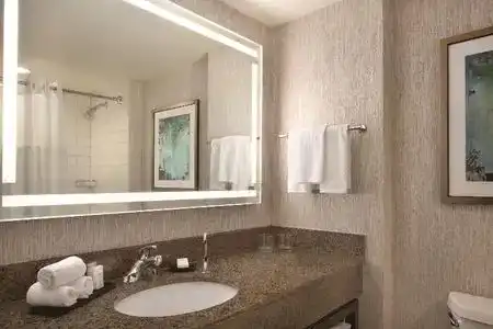Embassy Suites by Hilton Atlanta at Centennial Olympic Park - 16