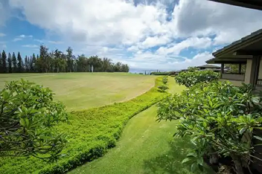 Kapalua Villas Maui - 343