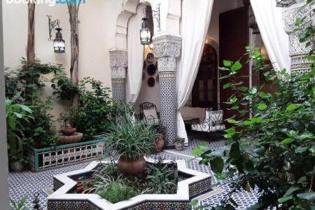 Riad Vega - 0