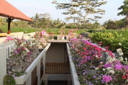 Ubud Wana Resort - 2