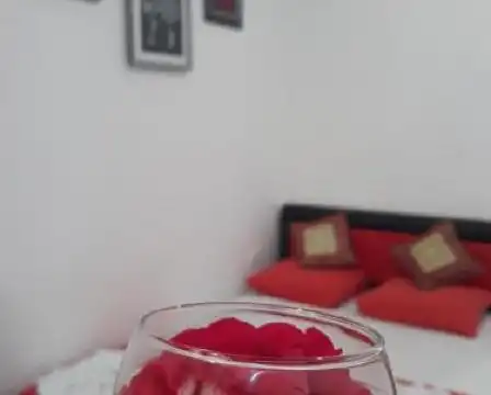 Guesthouse Oaza Emi - 36