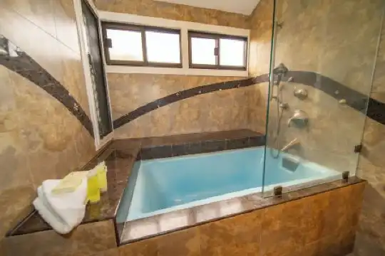 Kapalua Villas Maui - 373