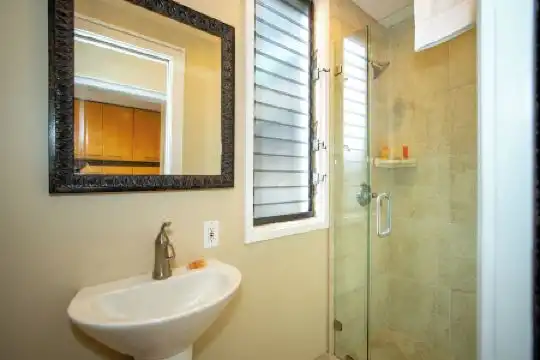 Kapalua Villas Maui - 494