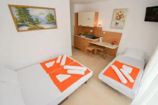 House Ivana Vuksanovic - 50