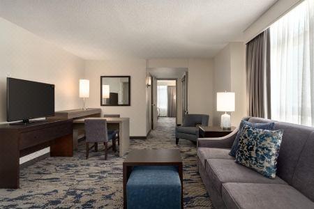 Embassy Suites by Hilton Atlanta at Centennial Olympic Park - 27