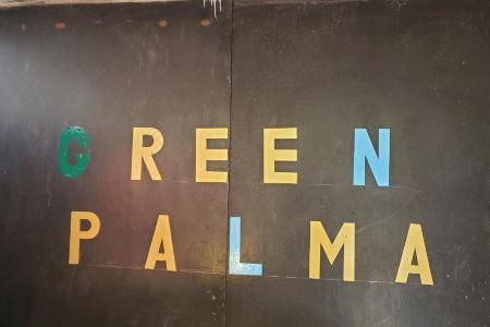 Green Palma - 8