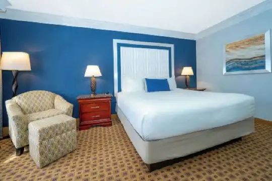 Rosen Plaza Orlando Convention Center - 17