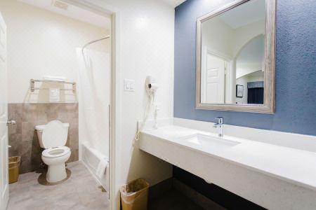 Palace Inn TX-249 - 79