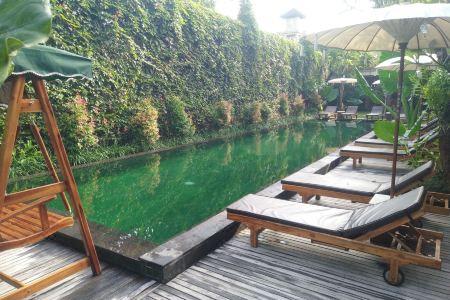 Sapodilla Ubud - 1