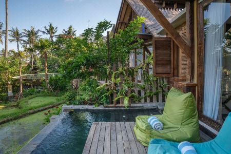Menzel Ubud - 270