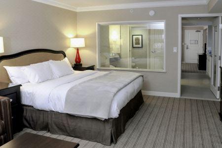 Hilton Niagara Falls/ Fallsview and Suites - 121
