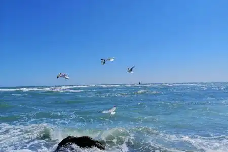 Inter Holiday Apartments - 4