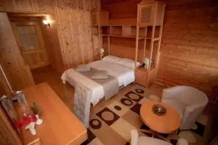 Shpija e Gjyshit - 16