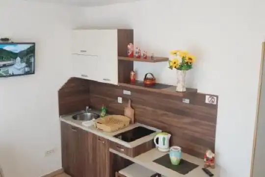 House Ivana Vuksanovic - 67