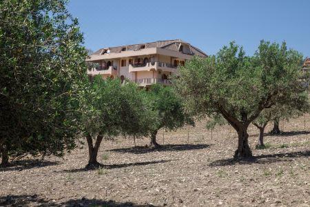 Villa Diana - 8