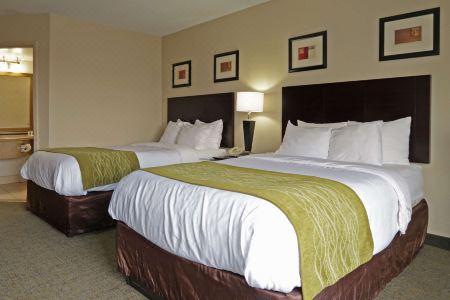 Comfort Inn Southwest Fwy at Westpark - 10