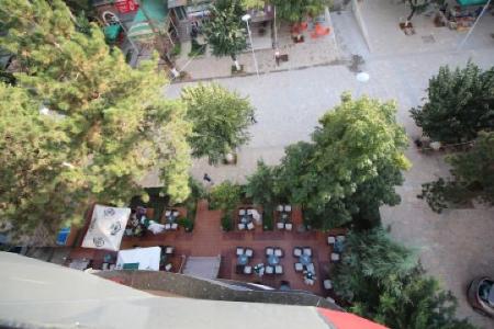 Resort Zerja and Spa - 8