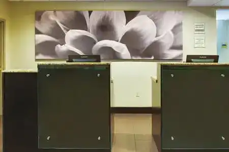 Comfort Inn & Suites Tampa North I-75 - 3