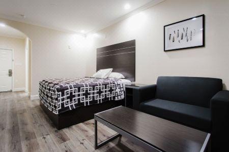 Palace Inn TX-249 - 56