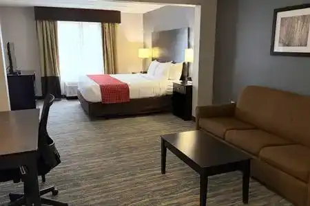 Comfort Inn & Suites Tampa North I-75 - 15
