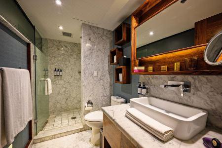 Las Suites Campos Eliseos - 13