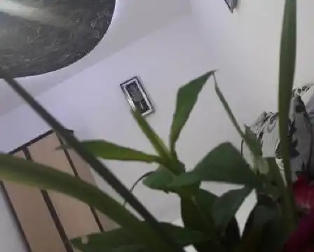 Guesthouse Oaza Emi - 17