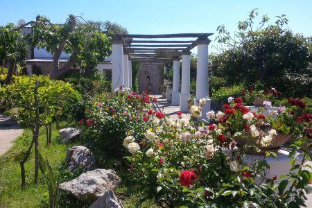 Al Mulino - Mediterranean Garden Retreat in AnaCapri - 5
