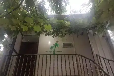 Green Palma - 0