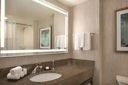 Embassy Suites by Hilton Atlanta at Centennial Olympic Park - 11