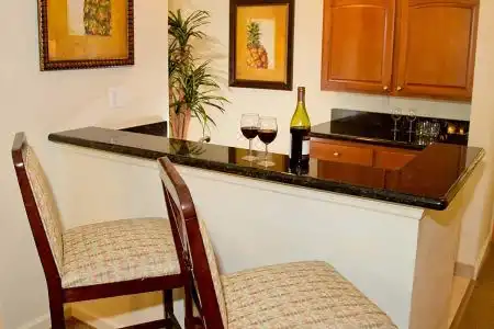 Lake Buena Vista Resort Village & Spa - 25