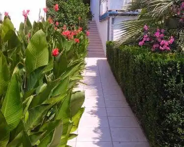 Apartments Danijelle 1 2 3 - 11