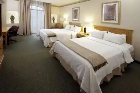 Holiday Inn Express Guanajuato by IHG - 9
