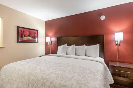 Red Roof Plus+ & Suites Houston - IAH Airport SW - 14