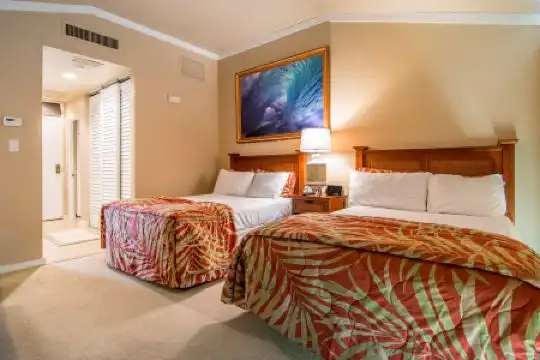 Kapalua Villas Maui - 65