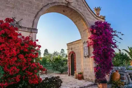 Masseria Montenapoleone - 0
