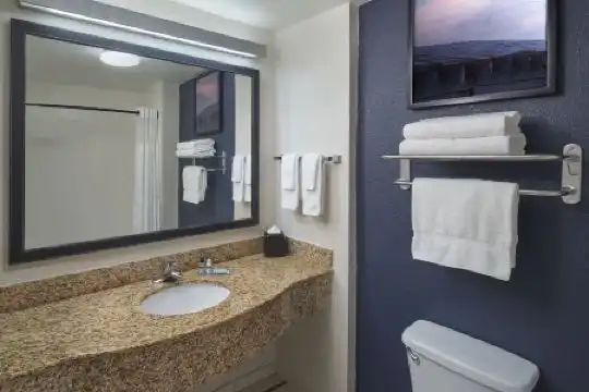 Fairfield Inn & Suites Orlando International Drive/Convention Center - 10