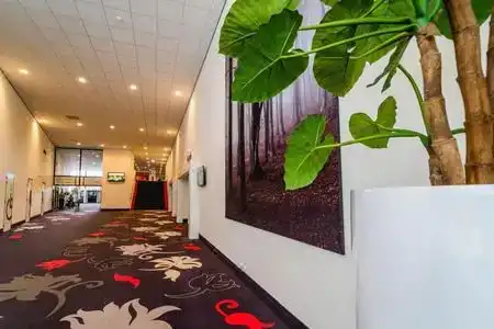 De Bonte Wever Assen - 7